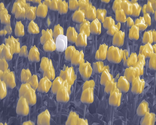 Patent attorney services - undefined